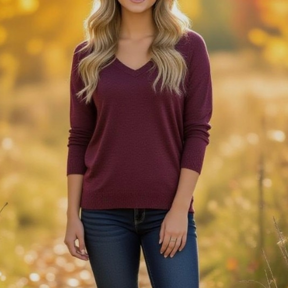 Express Maroon V-Neck Sweater Top